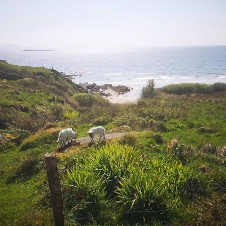 Kilcar Anne'S Thatched Cottage מראה חיצוני תמונה