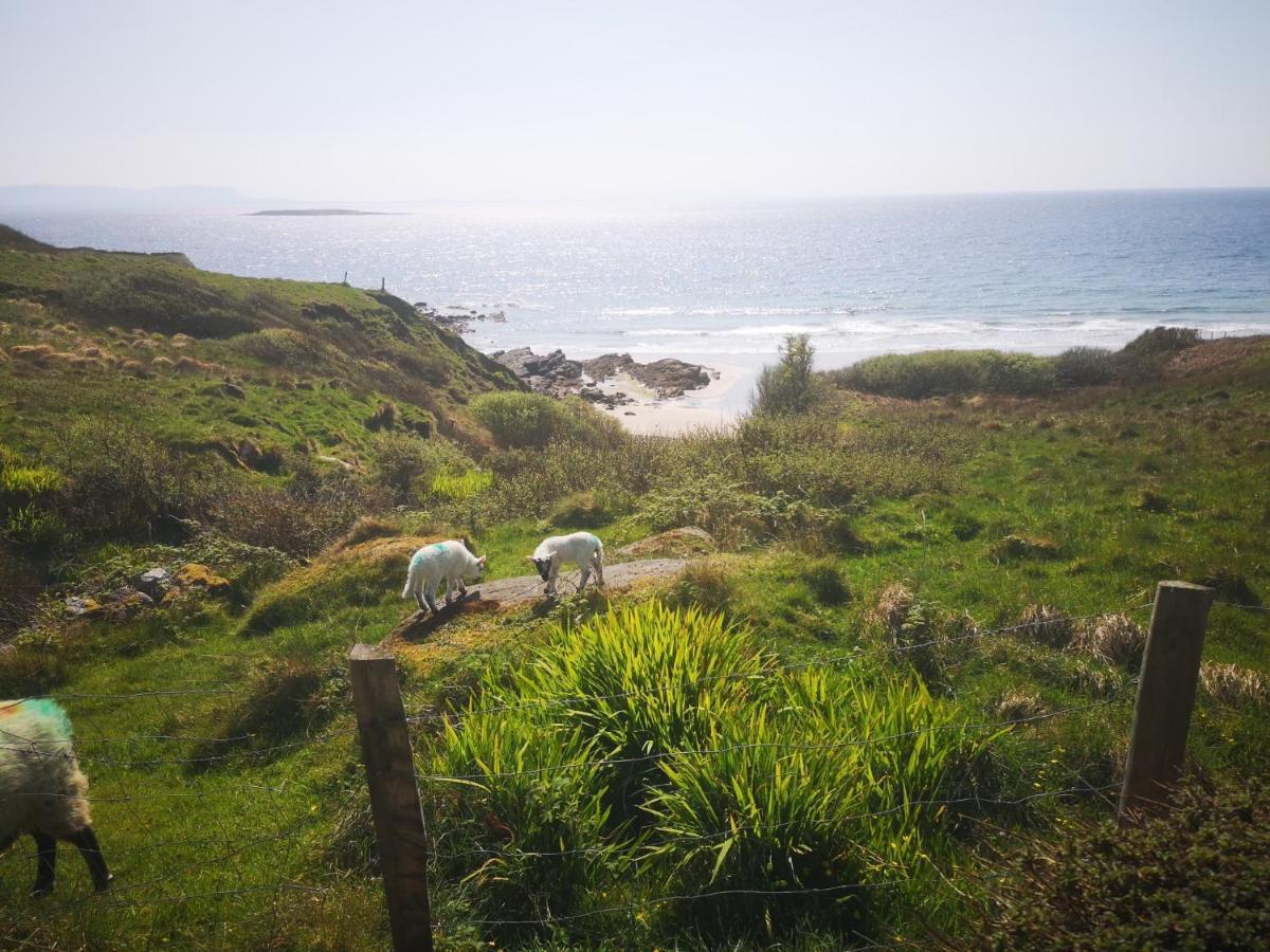 Kilcar Anne'S Thatched Cottage מראה חיצוני תמונה